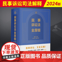 2024新书 民事诉讼法全厚细 冯江民事诉讼法司法解释汇编民诉法民事法律工具书民事司法解释民商法纪要证据规定 法制978