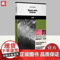 梦宫 上海译文出版社