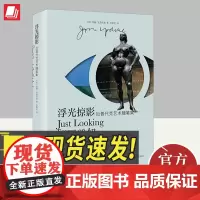 浮光掠影 上海译文出版社