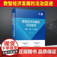 2024新书 数智经济发展的法治促进 数据 平台 人工智能 陈兵 中国法制出版社9787521645651