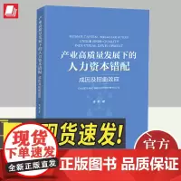 产业高质量发展下的人力资本错配 成因及扭曲效应 李勇著 新发展阶段人力资本错配产业高质量发展成因扭曲效应书籍中国经济出版