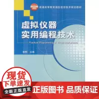 虚拟仪器实用编程技术