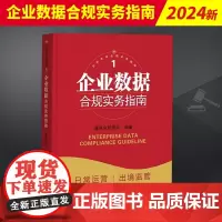 2024新书 企业数据合规实务指南 通商合规团队编著 企业专项合规实务指南 中国检察出版社9787510229732