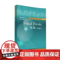 Visual Basic实训(第3版)