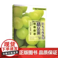 阳光玫瑰葡萄精品果培育技术 阳光玫瑰的品种优势 生长习性 周年管理要点及注意事项 常见病虫害防控技术等方面作出详细阐述指