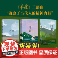 全3册羊道前山夏牧场+春牧场+深山夏牧场 羊道三部曲李娟经典散文集遥远的向日葵地冬牧场我的阿勒泰的角落现当代文学花城出版