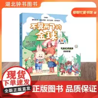 大数学思维-不翼而飞的金球 帮帮忙童书馆编/新蕾出版社 数学童话fbx