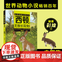 无敌长耳兔(注音)[加]西顿/ 原著 安韶编/安徽少年儿童出版社 外国文学/动物小说fbx