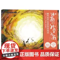 [签名版]中国原创绘本精品系列:外面的外面的外面 百班千人58期 2年级共读书目小学生2年级绘本 献给走出去看世界的勇者