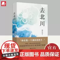 2024去北川 刘大先著 上海文艺出版社四川地震乡村振兴文化力量民族历史人文记忆地理变迁风物传统新时代山乡巨变长篇纪实文
