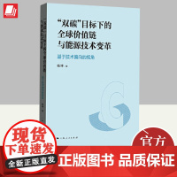 2024“双碳”目标下的全球价值链与能源技术变革 基于技术偏向的视角 杨博著 上海人民出版社 工业经济书籍