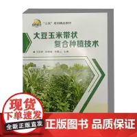 大豆玉米带状复合种植技术 大豆玉米带状复合种植技术概述 种植模式 大豆玉米带状复合种植品种选配 大豆玉米带状复合种植机械