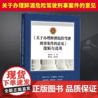 2024新书 关于办理醉酒危险驾驶刑事案件的意见理解与适用 苗生明 醉驾治理 典型案例 办案指导 中国检察出版社9787