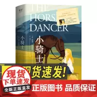 小骑士 四川文艺出版社