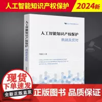 2024新 人工智能知识产权保护挑战及应对何炼红知识产权法学研究丛书人工智能技术对知识产权法律制度实践法律出版社9787