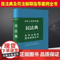 2024新中华人民共和国民法典及司法解释指导案例全书 民事实务案头宝典民法相关法律解释行政法规司法解释法律社9787