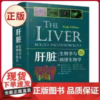 正版 肝脏:生物学与病理生物学(原书第6版) 欧文·M.阿里亚斯 等 著 中国科学技术出版社 97875236045