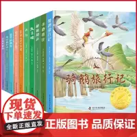 正版 国际大奖儿童文学(全10册 精装 柳林风声 丛林历险记 青鸟 会飞的教室 纳尼亚传奇 尼尔斯骑鹅旅行记吹牛大王