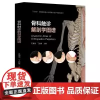 骨科触诊解剖学图谱