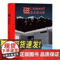 磁:石头的沉默 图像小说 法国比利时漫画 漫画小说书籍 正版 四川文艺出版社9787541159572