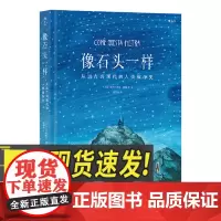 像石头一样:从远古到现代的人类战争史 全手绘水彩画风 长篇无字图像小说巨著 用400张纯手绘图筑成的图像小说