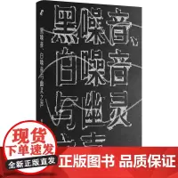正版图书 黑噪音、白噪音与幽灵之声 姜宇辉著 新行思艺文志eons 上海文艺出版社