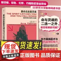 要命还是要灵魂:医病冲突中的跨文化误解 医病冲突中跨文化误解 东方苗族巫术与现代医学的角力 在美苗族民族志 医疗纪实文学