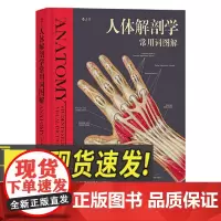人体解剖学常用词图解 科学技术文献出版社