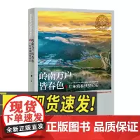 岭南万户皆春色:广东精准扶贫纪实