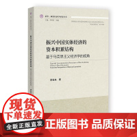 正版书 振兴中国实体经济的资本积累结构:基于马克思主义经济学的视角 清华·政治经济学研究丛书 李怡乐 著 社科文献