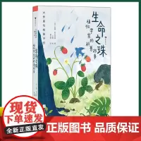 正版 大作家写给孩子们:生命之珠:植物学家的科普故事 尼娜·米哈伊洛夫娜·巴甫洛娃 著 江苏凤凰文艺出版社 9787