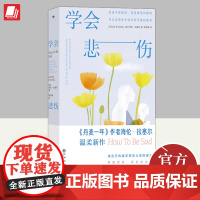 学会悲伤 2024新书 心灵疗愈个人成长悲伤自助书 心理学书籍 《丹麦一年》作者海伦拉塞尔新作 九州出版社