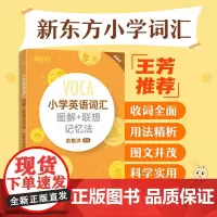 [东方文澜店]小学英语词汇图解+联想记忆法 小升初词汇书 新东方单词卡 词根英语单词记忆术书籍