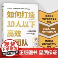 [正品保证]如何打造10人以下高效小团队 为新晋和中层管理者量身打造的小团队管理实用手册 发挥小团队优势 提升小团队合作