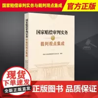 2023新书 国家赔偿审判实务与裁判观点集成 赔偿范围 赔偿程序 赔偿方式和计算标准 赔偿义务人和赔偿义务机关 人民法院