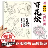 百花白描描摹练习本 花卉线描画本 勾线描红涂色 百花图谱 彩铅水彩蜡笔毛笔彩铅 画画零基础自学入门 工笔花卉线稿临摹画册