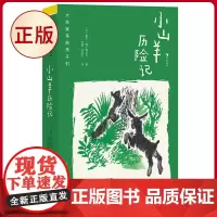 正版 大作家写给孩子们:小山羊历险记 夏尔·维尔德拉克著 上海人民美术出版社 9787558627170