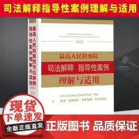 正版2023新书 最高人民检察院司法解释指导性案例理解与适用(2022)最高人民检察院法律政策研究室编著 检察出版社97