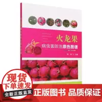火龙果病虫害防治原色图谱 郑伟 火龙果病害症状和害虫形态特征发生规律防治方法书籍 火龙果种植栽培技术大全书籍 中国农业出