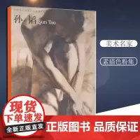 中国当代美术名家素描色粉集[孙韬]孙韬9787229033040