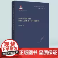 正版《伦理学视域下的国际人道主义干涉问题研究》新马克思主义伦理学丛书 狄英娜/著