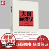 大国经济学:面向长期、全局、多维的中国发展 系统解读中国经济的通识之作,陆铭、杨汝岱等十位经济学家协力打造