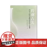 正版图书 片羽吉光:两宋之际代表性窑址出土瓷器 慈溪市文物保护中心 等著 文物出版社