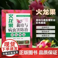 火龙果栽培与病虫害防治彩色图说 龙果主要种类及品种 龙果生物学特性 火龙果规范生产 栽培技术 火龙果常见病虫害及其防治技