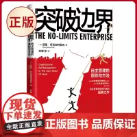 正版 突破边界:自主管理的原则与方法 自主管理领域先行者的经典之作 突破科层制组织架构的局限 实现结果导向的全员自治