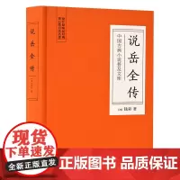 中国古典小说普及文库:说岳全传