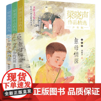[王芳同款]梁晓声作品精选少年版全3册慈母情深老水车旁的风景种子的力量儿童文学作品茅盾文学家给孩子亲情教育书儿童阅读