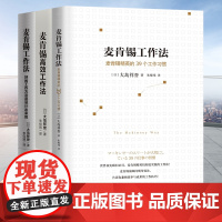 全3册]正版 麦肯锡工作法3册 高效工作法 39个工作习惯大岛祥誉著麦肯锡工作方法 麦肯锡系列丛书 经营管理学方