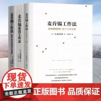 全3册]正版 麦肯锡工作法3册 高效工作法 39个工作习惯大岛祥誉著麦肯锡工作方法 麦肯锡系列丛书 经营管理学方