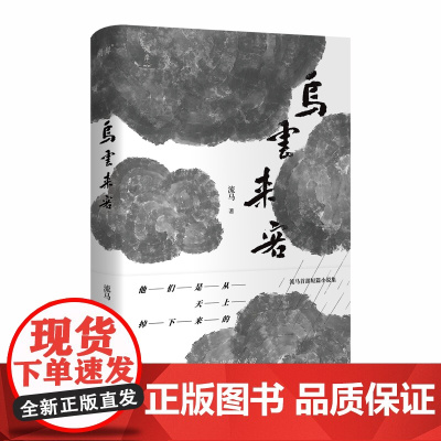 正版图书 乌云来客 流马 著 湖岸出品 北京贝贝特